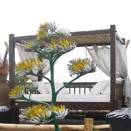 Villaggio Internazionale La Plaja 3*
